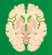 17th Conference on Neurology & Clinical Neurophysiology – 2021